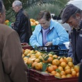 Castellón, Mercado de la Naranja
