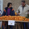 Castellón, Mercado de la Naranja