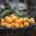 Castellón, Mercado de la Naranja
