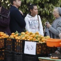 Castellón, Mercado de la Naranja