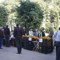 Castellón, Mercado de la Naranja