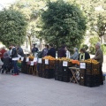 Castellón, Mercado de la Naranja
