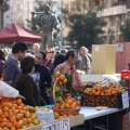 Castellón, Mercado de la Naranja