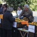 Castellón, Mercado de la Naranja