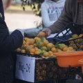 Castellón, Mercado de la Naranja