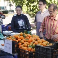 Castellón, Mercado de la Naranja