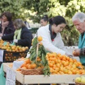 Castellón, Mercado de la Naranja