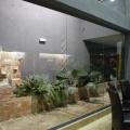 Castellón, Templarios. 2011