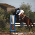 Club Hípico del Mediterráneo