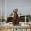 Club Hípico del Mediterráneo