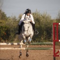 Club Hípico del Mediterráneo