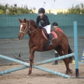 Club hípico Mediterráneo