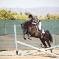 Club hípico Mediterráneo