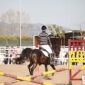 Club hípico Mediterráneo