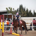 Club hípico Mediterráneo