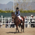 Club hípico Mediterráneo