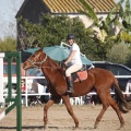 Club hípico Mediterráneo