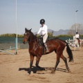 Club hípico Mediterráneo