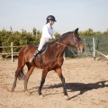 Club hípico Mediterráneo