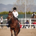 Club hípico Mediterráneo
