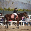 Club hípico Mediterráneo