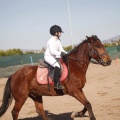 Club hípico Mediterráneo