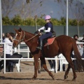 Club hípico Mediterráneo