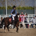 Club hípico Mediterráneo
