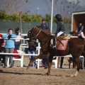 Club hípico Mediterráneo