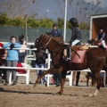 Club hípico Mediterráneo