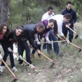Castellón, 2011