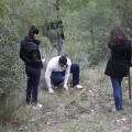 Castellón, 2011