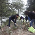 Castellón, 2011