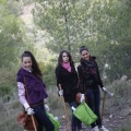 Castellón, 2011