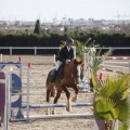 Castellón, Paddocks de Azahar-Unicef