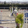 Castellón, Paddocks de Azahar-Unicef