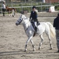 Castellón, Paddocks de Azahar-Unicef