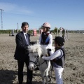 Castellón, Paddocks de Azahar-Unicef