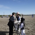 Castellón, Paddocks de Azahar-Unicef