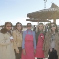 Castellón, Paddocks de Azahar-Unicef