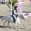 Castellón, Paddocks de Azahar-Unicef