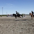 Castellón, Paddocks de Azahar-Unicef