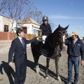 Castellón, Paddocks de Azahar-Unicef
