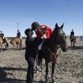 Castellón, Paddocks de Azahar-Unicef