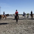 Castellón, Paddocks de Azahar-Unicef