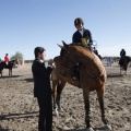 Castellón, Paddocks de Azahar-Unicef
