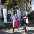 Castellón, Paddocks de Azahar-Unicef