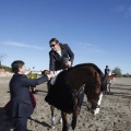 Castellón, Paddocks de Azahar-Unicef