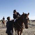 Castellón, Paddocks de Azahar-Unicef