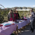 Castellón, Paddocks de Azahar-Unicef